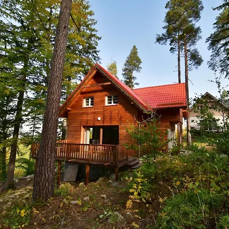 Lesny Kolo Karpacza - Apartamentuj Holiday home *