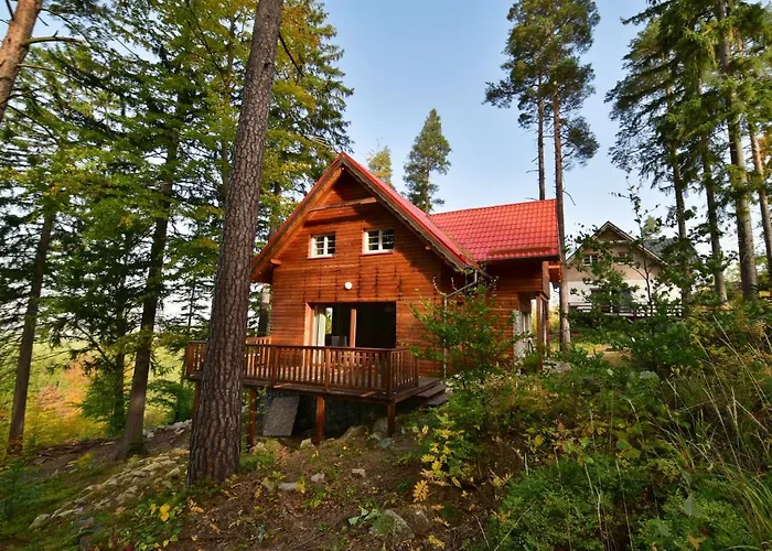 Lesny Kolo Karpacza - Apartamentuj Holiday home *